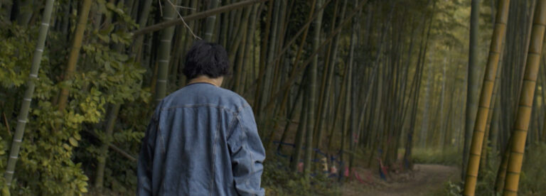 The Bamboo Forest